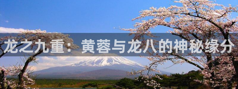 辉达平台app下载