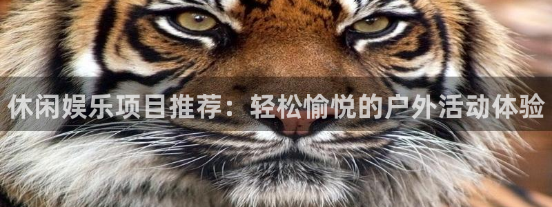 辉达平台