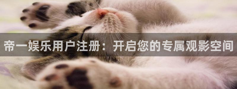 辉达平台是赌博吗：帝一娱乐用户注册：开启您的专属观影空间