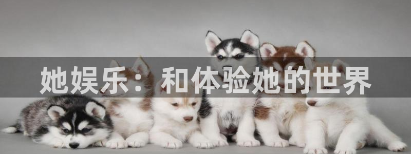 辉达平台下载官网入口在哪：她娱乐：和体验她的世界