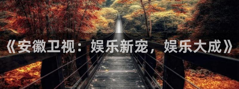 辉达平台体育3：《安徽卫视：娱乐新宠，娱乐大成》