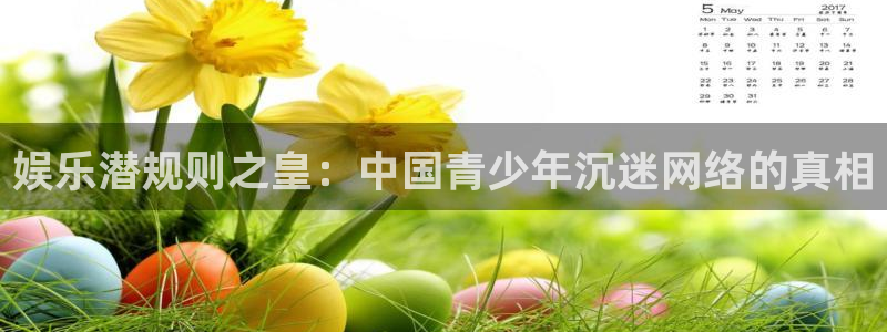 辉达平台体育和杏耀是哪个公司的：娱乐潜规则之皇：中国青少年沉迷网络的真相