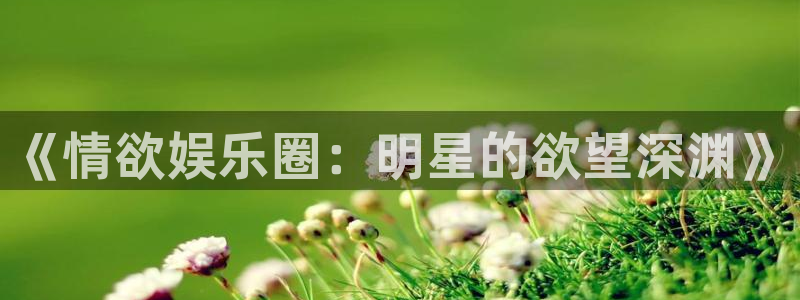 辉达平台是赌博吗：《情欲娱乐圈：明星的欲望深渊》