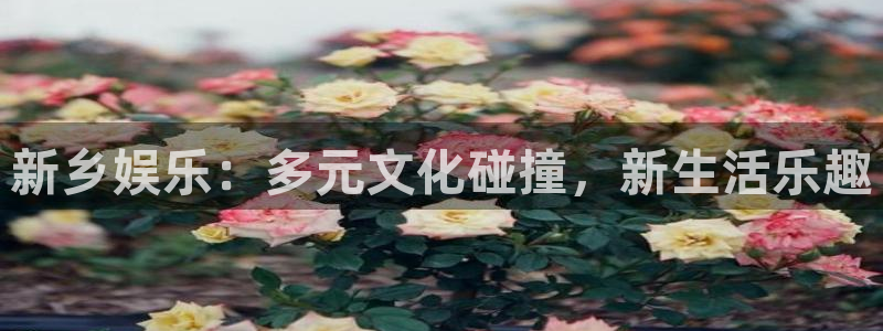 南宫辉达平台：新乡娱乐：多元文化碰撞，新生活乐趣