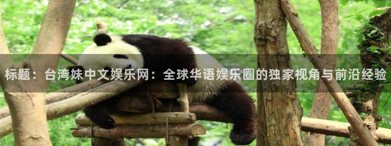 辉达平台3平台登录注册：标题：台湾妹中文娱乐网：全球华语娱乐圈的独家视角与前沿经