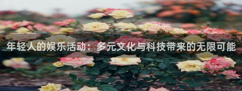 辉达平台注册网页版：年轻人的娱乐活动：多元文化与科技带来的无限可能