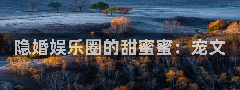 辉达平台2登录：隐婚娱乐圈的甜蜜蜜：宠文