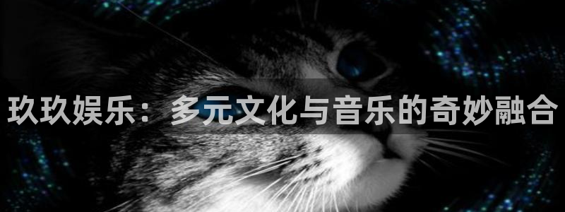 辉达平台体育凯捷平台注册：玖玖娱乐：多元文化与音乐的奇妙融合