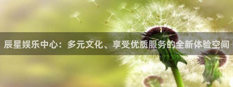 辉达平台娱乐：辰星娱乐中心：多元文化、享受优质服务的全新体验空间