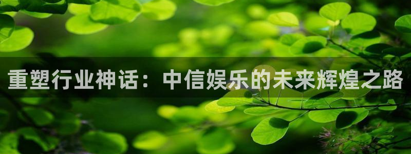 辉达平台2登录入口：重塑行业神话：中信娱乐的未来辉煌之路