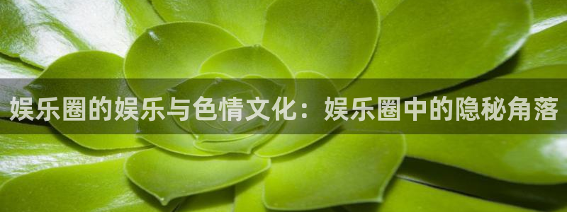 辉达平台.ccmpc29官网版下载：娱乐圈的娱乐与色情文化：娱乐圈中的隐秘角落