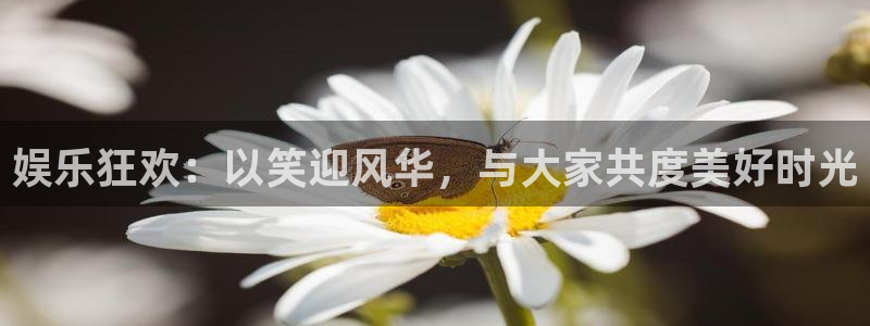 辉达平台f平台注册：娱乐狂欢：以笑迎风华，与大家共度美好时光