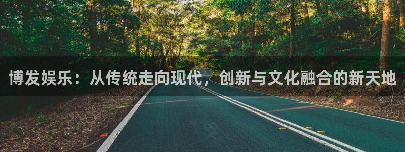辉达平台4注册：博发娱乐：从传统走向现代，创新与文化融合的新天地