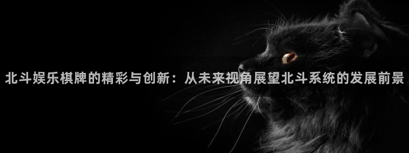 辉达平台体育2官网入口：北斗娱乐棋牌的精彩与创新：从未来视角展望北斗系统的发展前