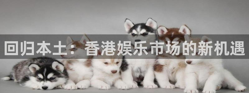 辉达平台是啥