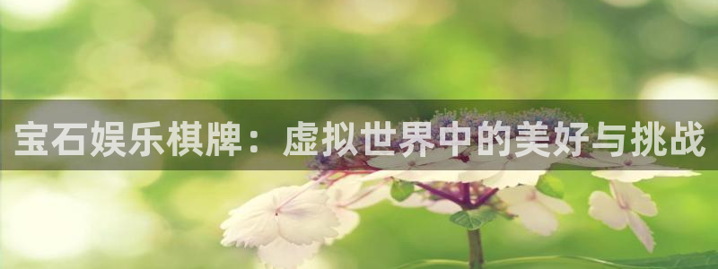 辉达平台主管