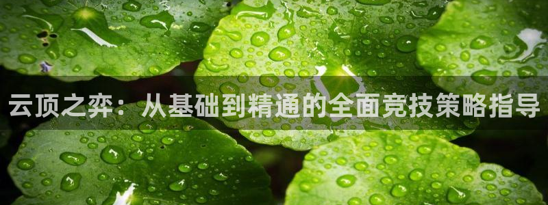 辉达平台体育注册登录入口：云顶之弈：从基础到精通的全面竞技策略指导