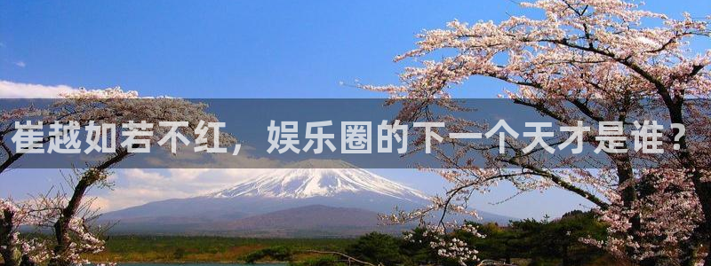 辉达平台平台主管：崔越如若不红，娱乐圈的下一个天才是谁？