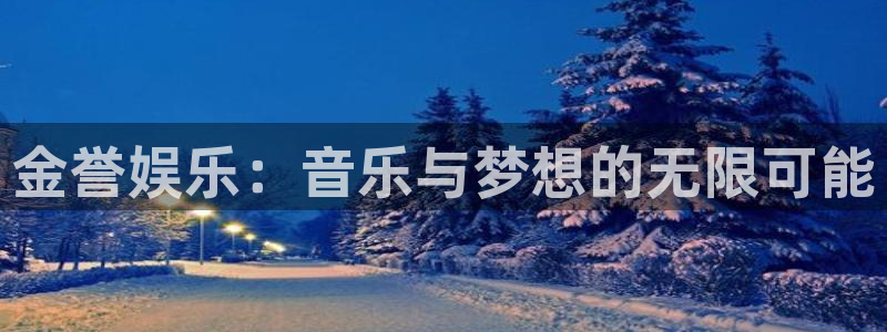 辉达平台体育：金誉娱乐：音乐与梦想的无限可能