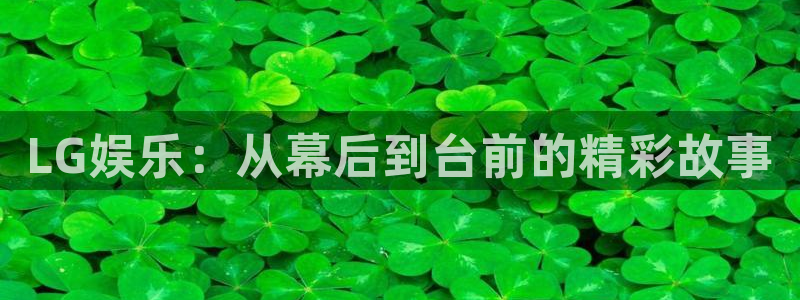 佛山市南海辉达平台机电仪器有限公司：LG娱乐：从幕后到台前的精彩故事