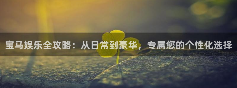 辉达平台下载链接：宝马娱乐全攻略：从日常到豪华，专属您的个性化选择