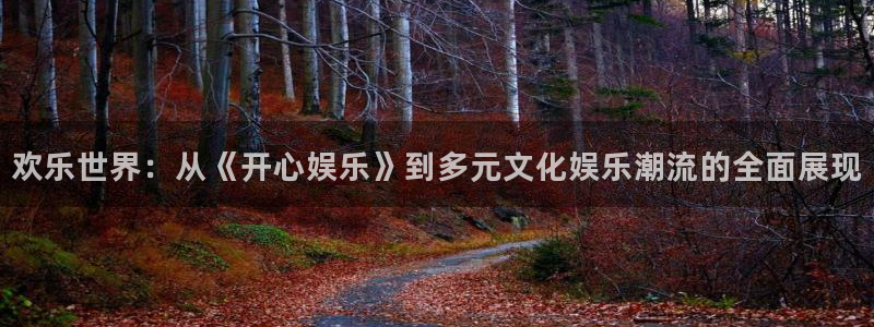 辉达平台注册链接：欢乐世界：从《开心娱乐》到多元文化娱乐潮流的全面展现