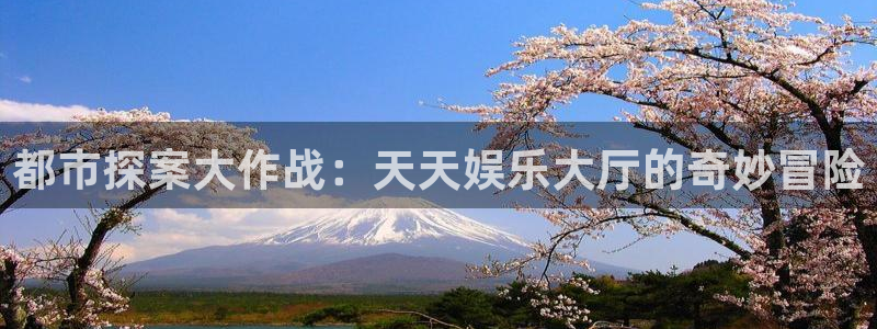 辉达平台2登录地址：都市探案大作战：天天娱乐大厅的奇妙冒险