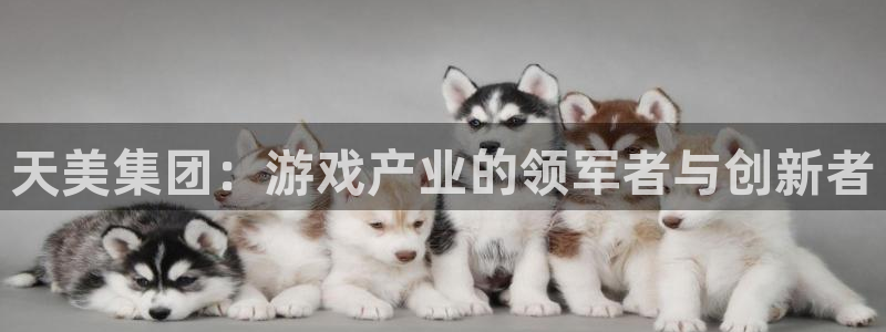 辉达平台游戏有哪些好玩的：天美集团：游戏产业的领军者与创新者