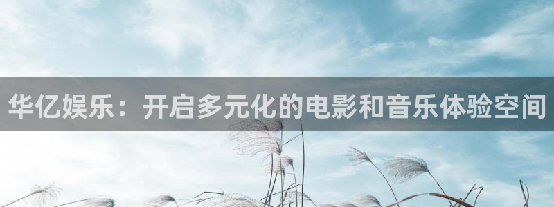 辉达平台2体育登录入口：华亿娱乐：开启多元化的电影和音乐体验空间