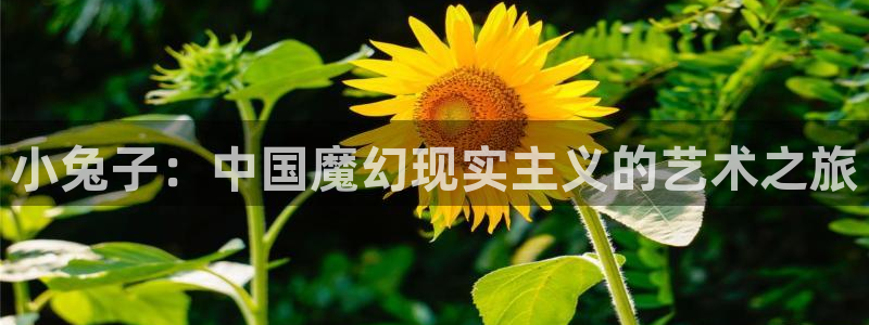 辉达平台体育凯捷平台注册：小兔子：中国魔幻现实主义的艺术之旅