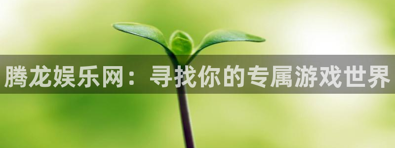 辉达平台官网：腾龙娱乐网：寻找你的专属游戏世界