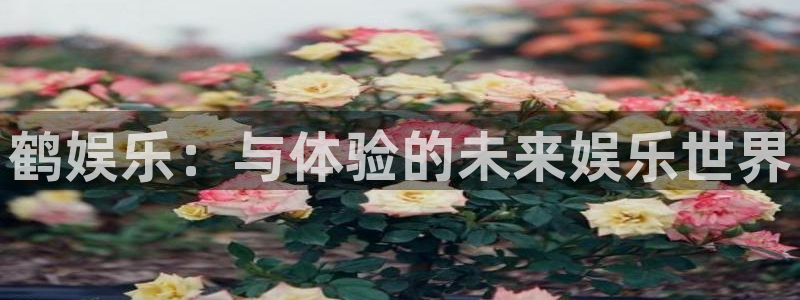 辉达平台网站平台：鹤娱乐：与体验的未来娱乐世界